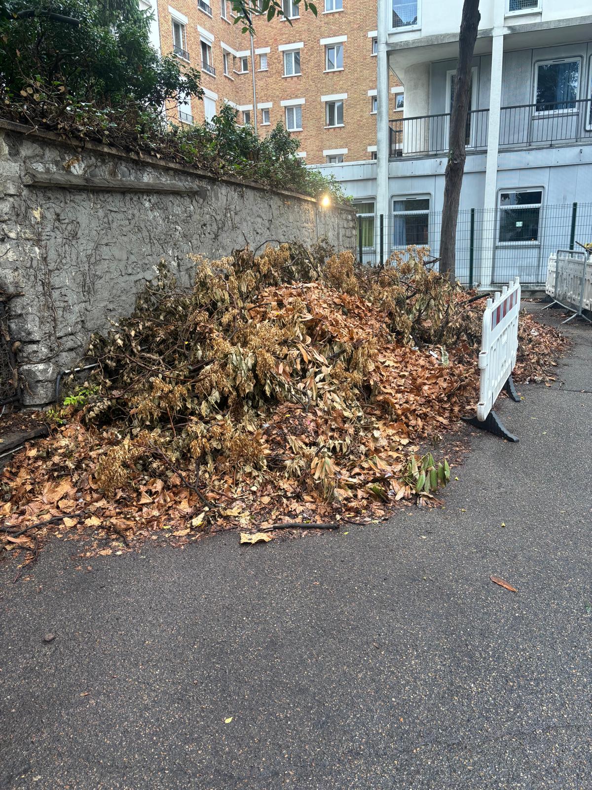 Enlèvement des encombrants